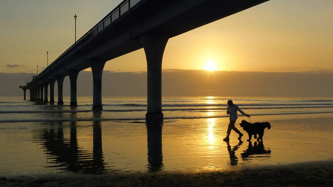 Man walking his dog under the New Brighton Pier with the sunrise in the background.