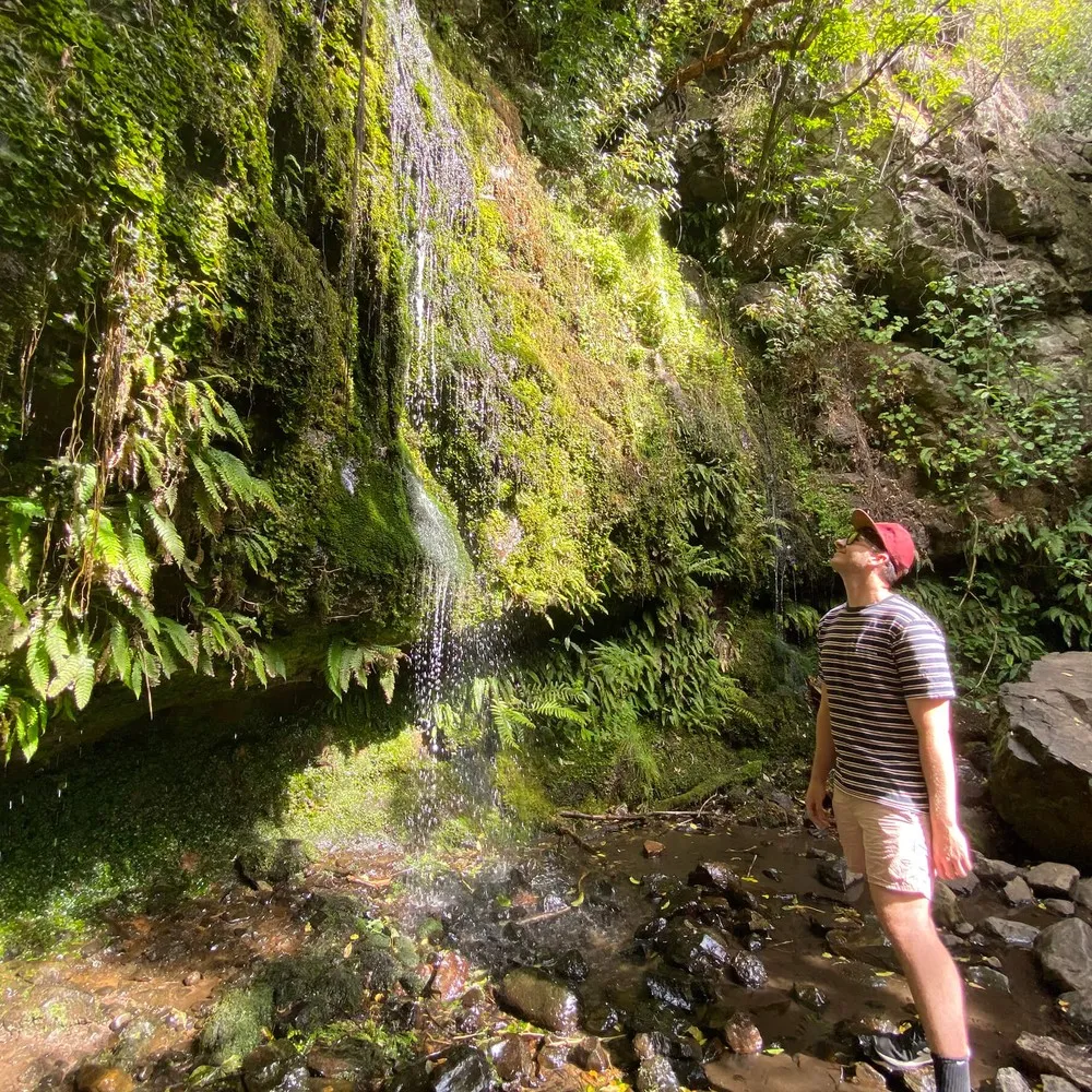 Man looking at Newtons Falls
