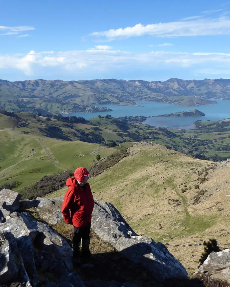 View from Montgomery Reserve Summit