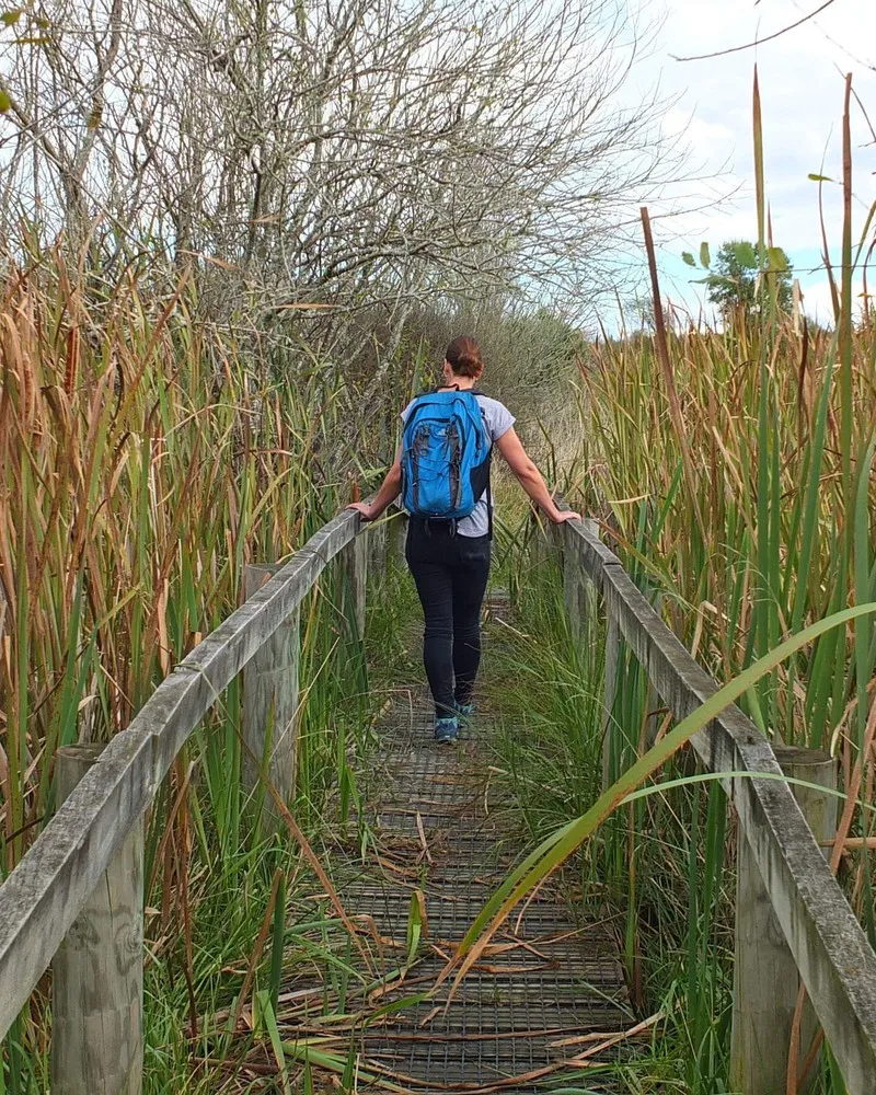 Taranaki Walkway Waikuku