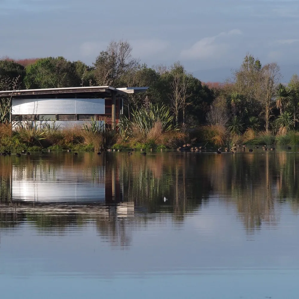 Travis Wetland lookout
