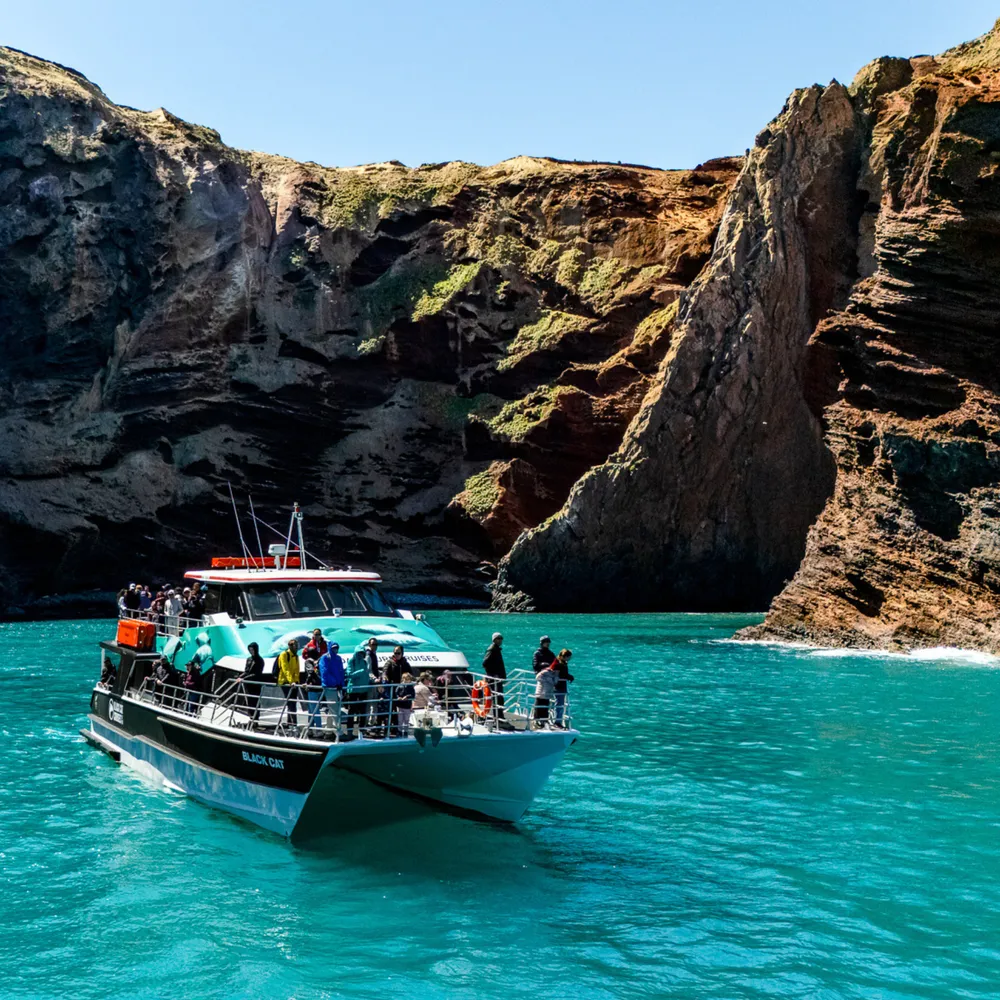 Winter Deals Black Cat Cruises