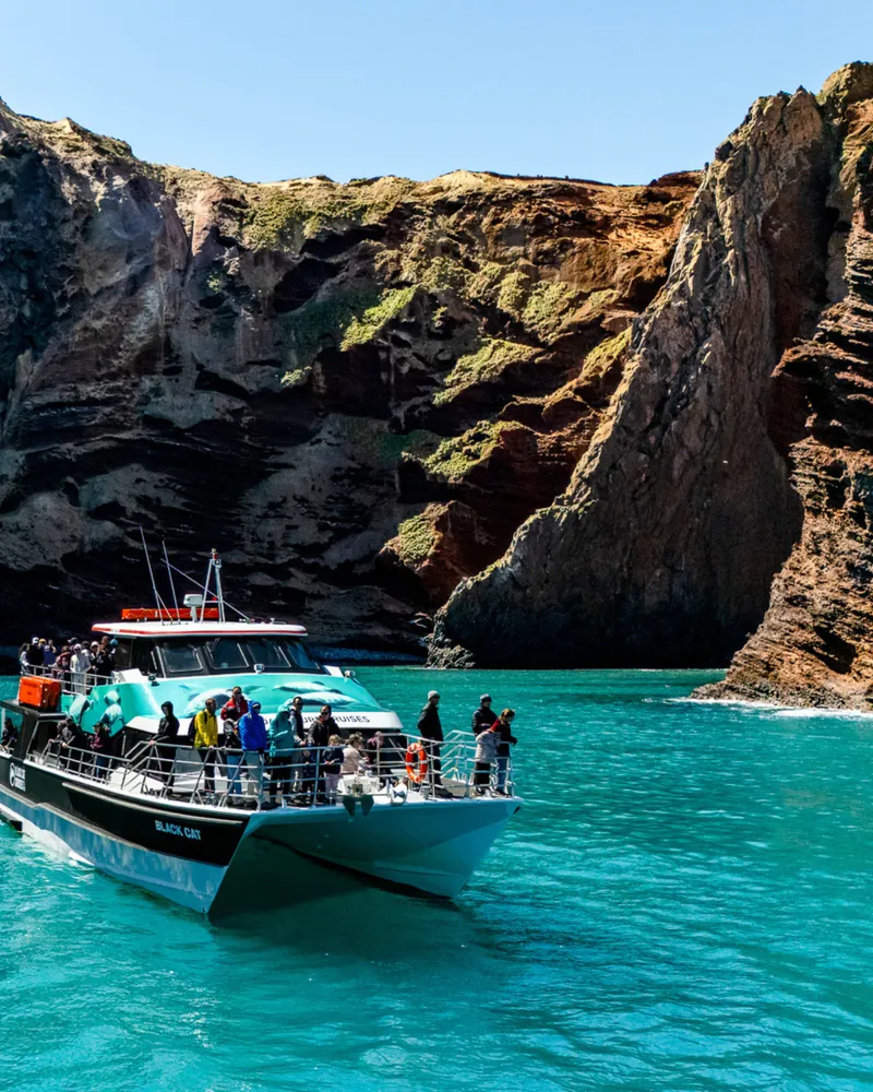Winter Deals Black Cat Cruises