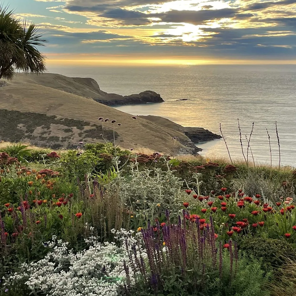 A view of the Fishermans Bay Garden