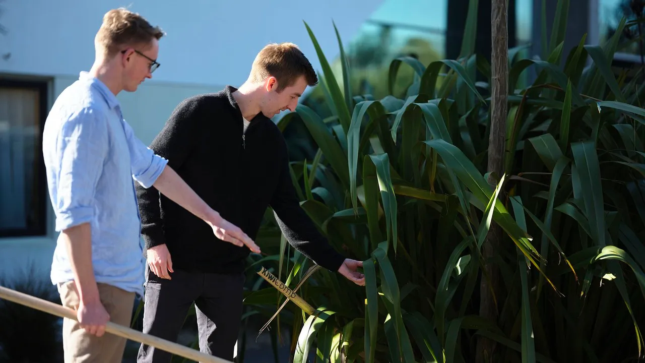 Kiwifibre Staff