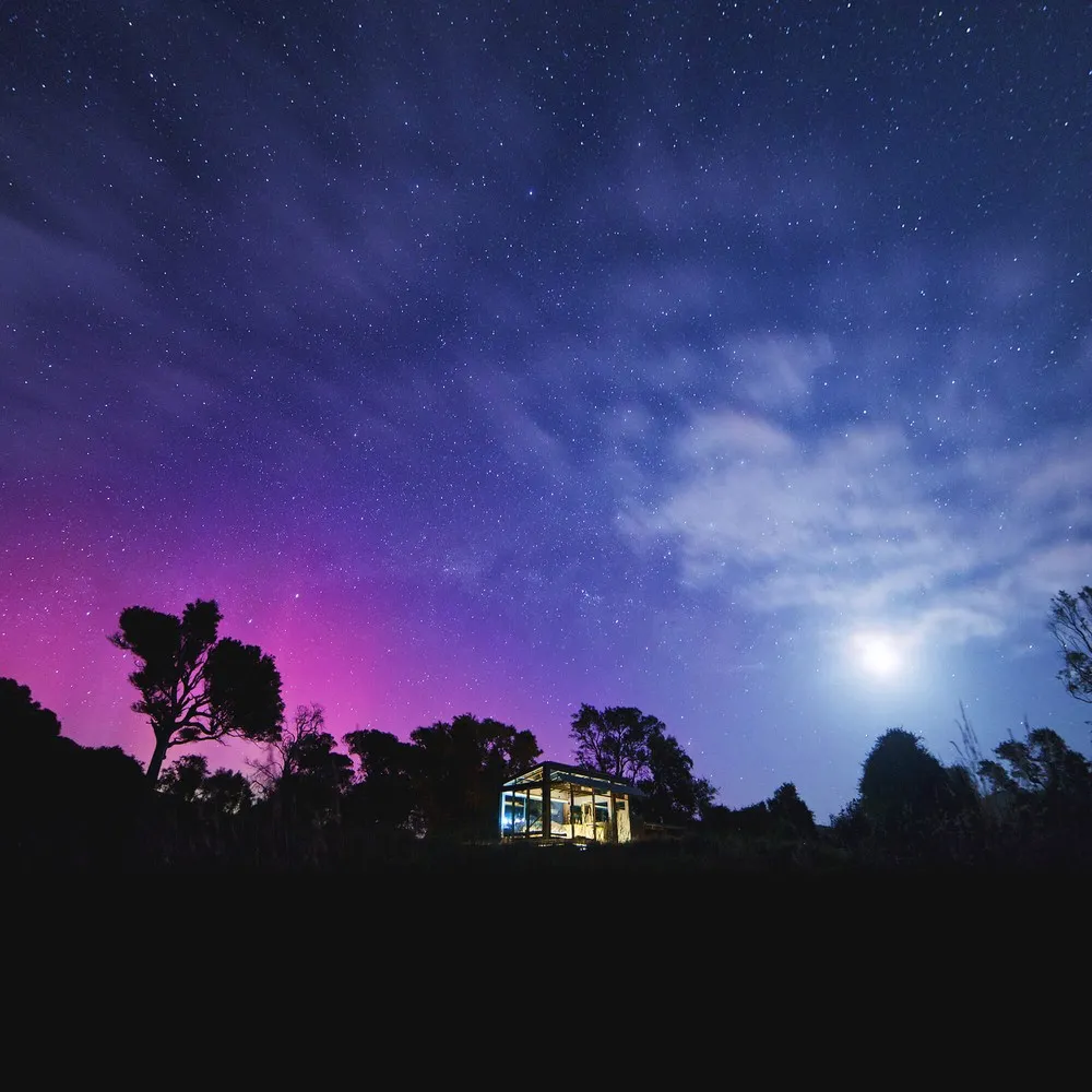 Night sky above Kereu Pure Pod, Hurunui