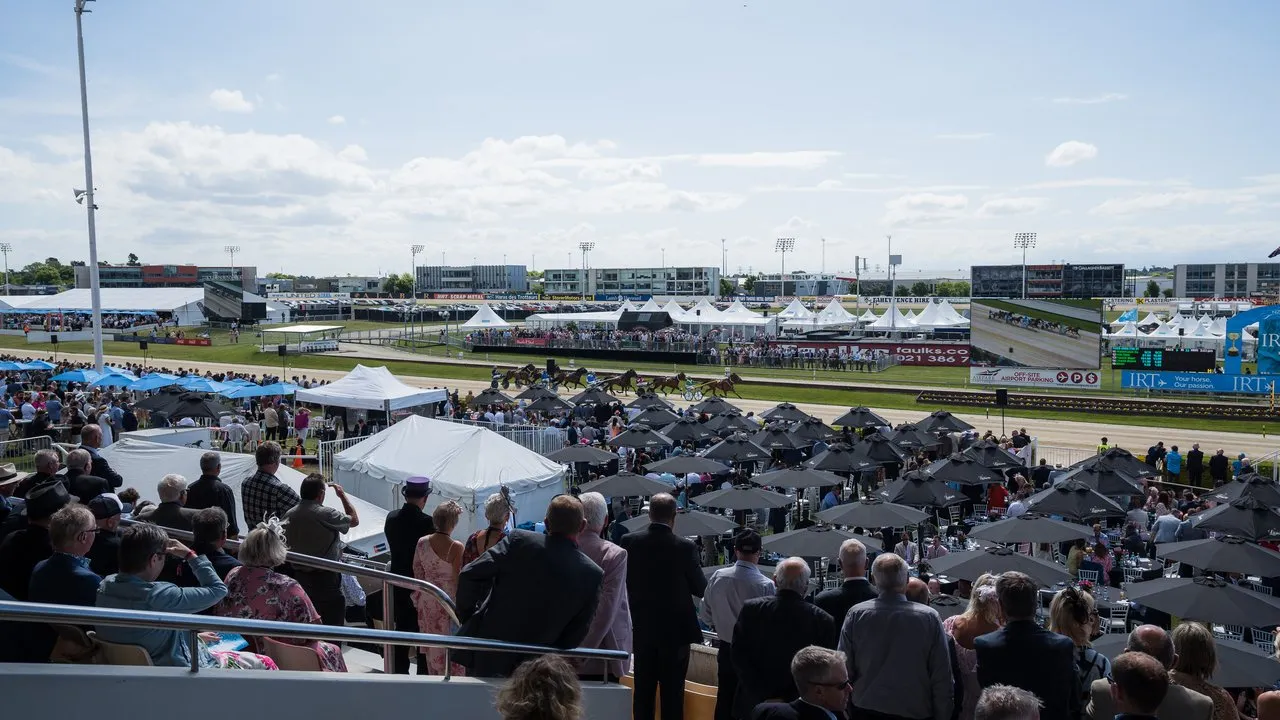 People watching the horse trotting at Addington