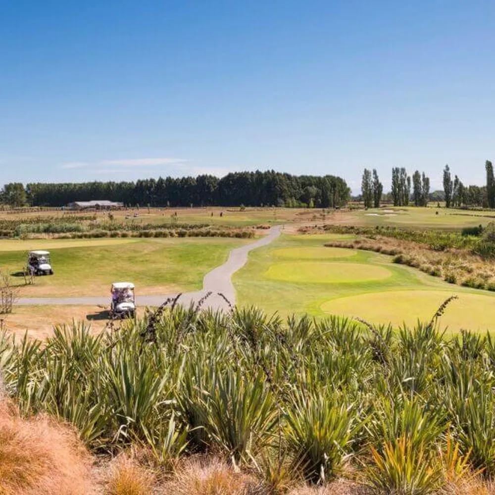 Carts at Pegasus Golf Course