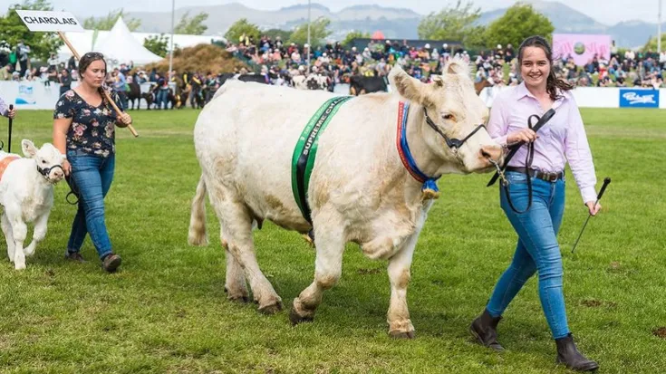 Royal A&P Show of New Zealand | Canterbury A&P Association