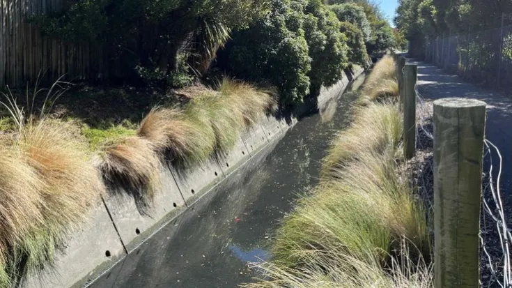 Linwood Drain Enhancement Project