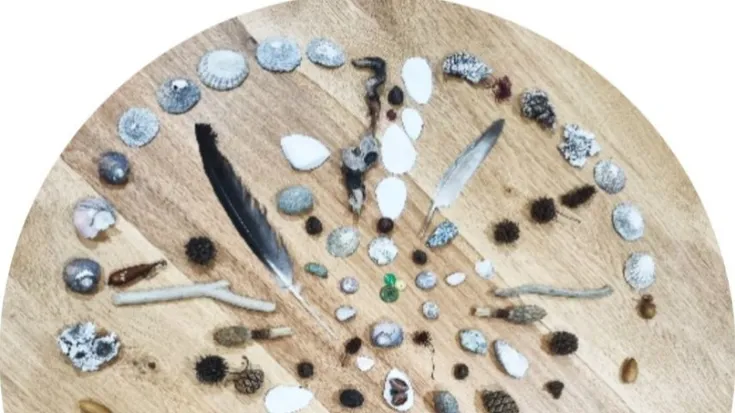 Christchurch Art as Therapy