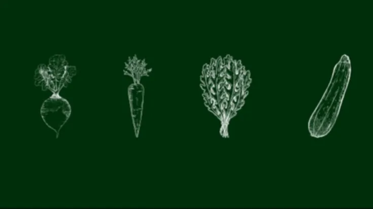 Riverlution Farmers Market