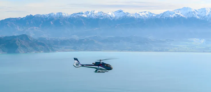 Kaikōura Helicopters - Whale Watching