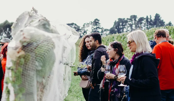 Christchurch Helicopters - Grape Vine Tour