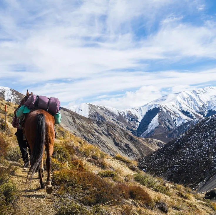 Pukatea Horse Trails