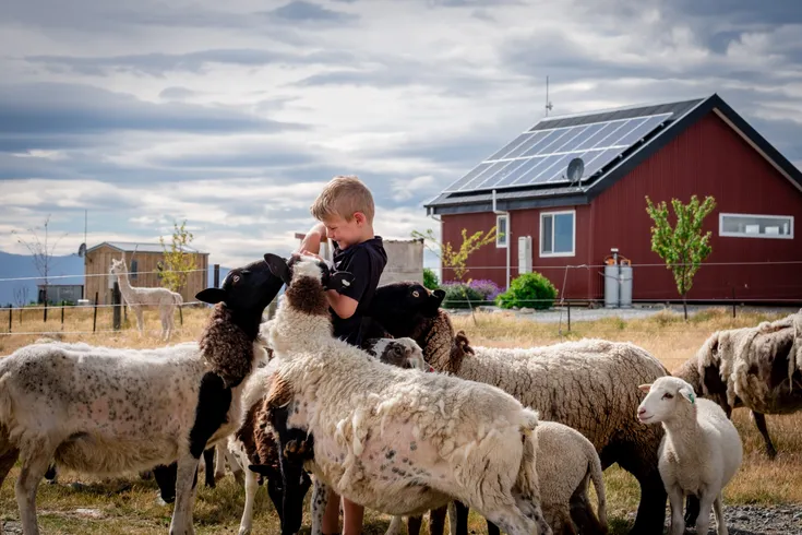 Highlands Farm Stay