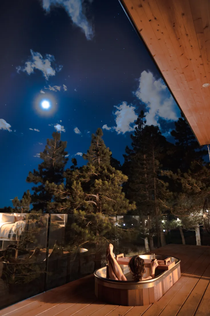 Nest Treehouses