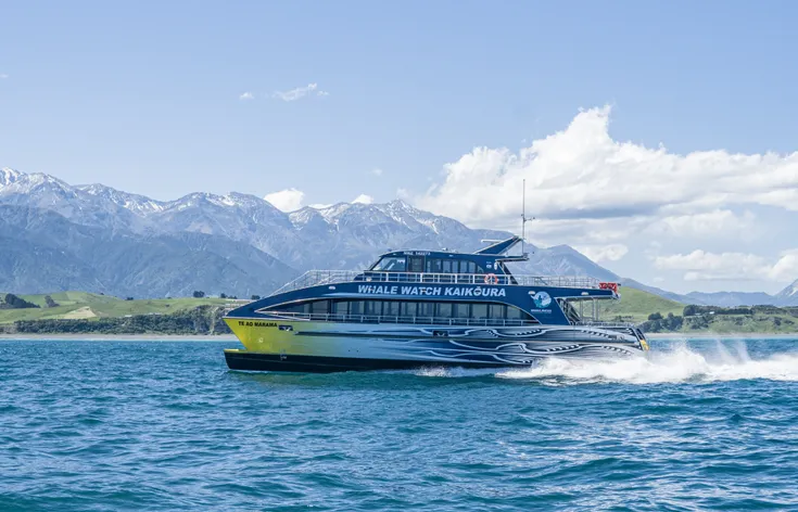 Whale Watch Kaikoura