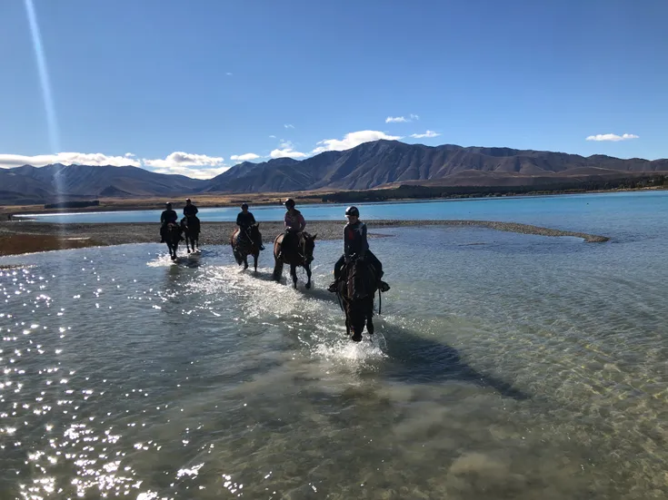 Mackenzie Alpine Horses
