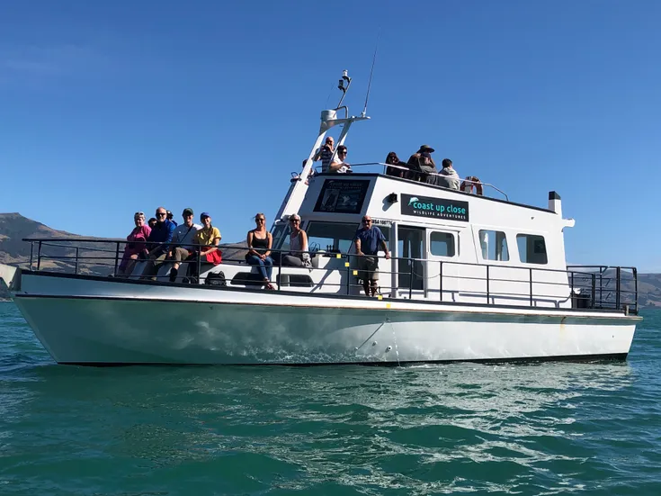 Akaroa Coast up Close
