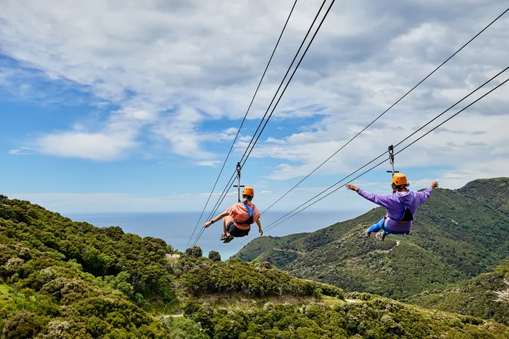 EcoZip Adventures - Kaikōura