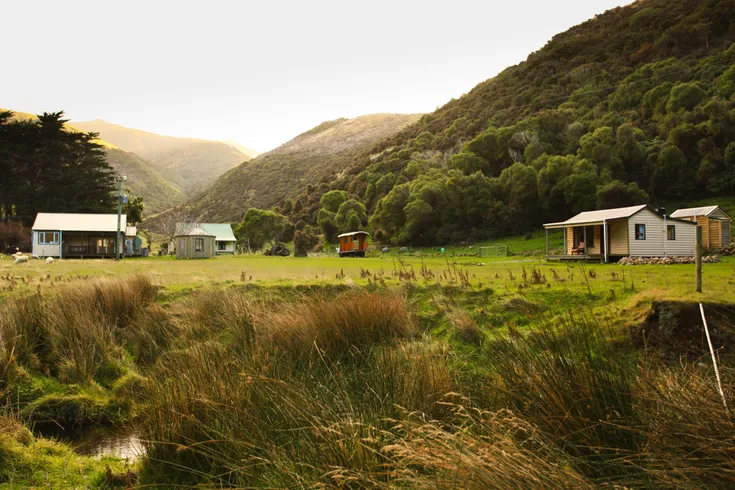 Pōhatu Penguins - 24-hour Pōhatu Package Farmstay - Akaroa, Banks Peninsula