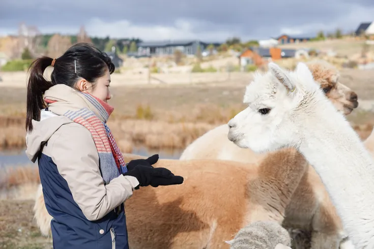 Lake Tekapo: Guided Petting Zoo Visit