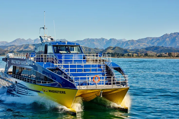 Whale Watch Cruise or Flight Small Group Tour - Canterbury Trails