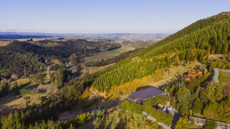 Canopy Camping Escapes | The Coop