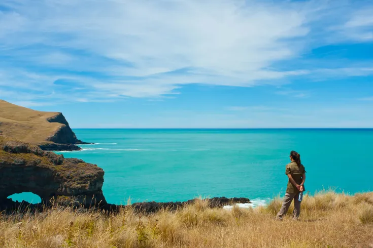Pōhatu Penguins - Wildside Discovery Tours