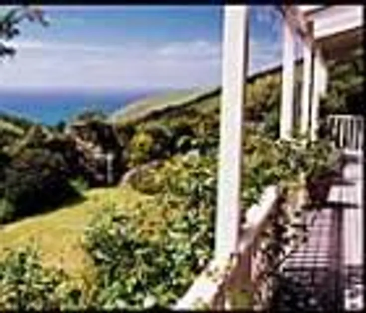 Paua Bay Farmstay