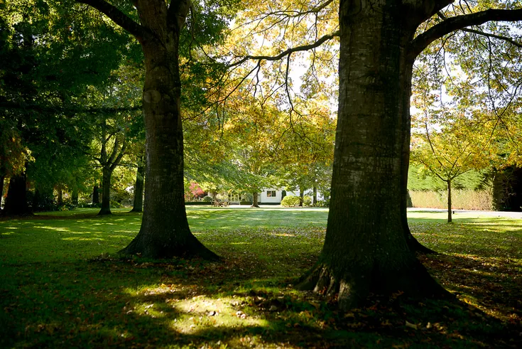 Silverstream Lodge