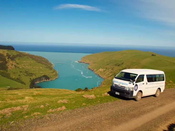 Pōhatu Penguins - 2-Hour Nature Tour - Discover the Backcountry of Akaroa