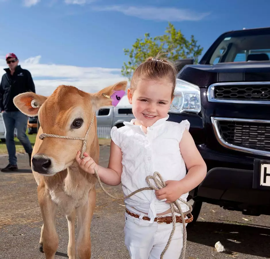 New Zealand Agricultural Show Girl With Calf