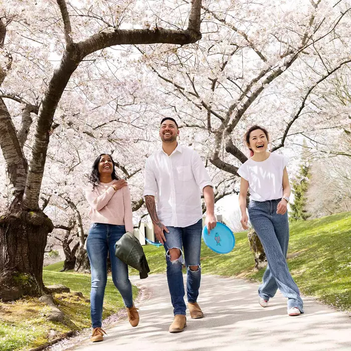 Group On Path With Blossoms