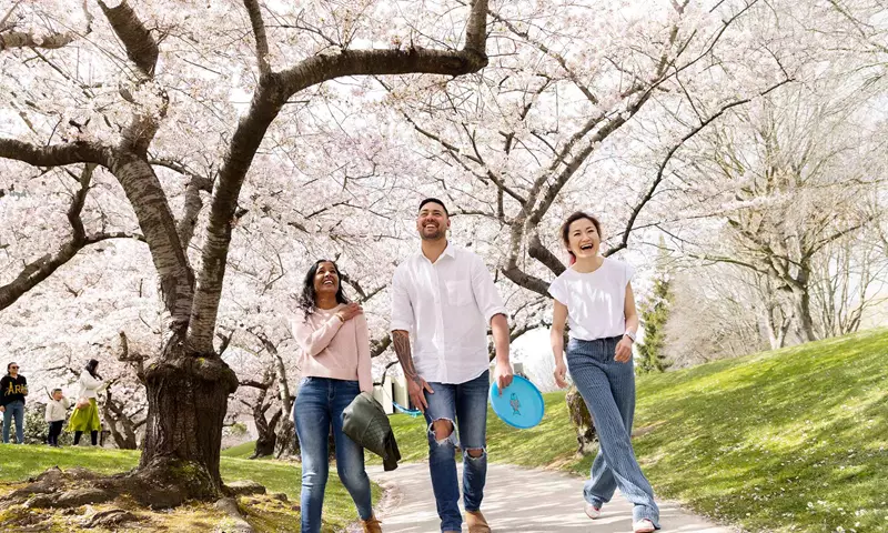 Group On Path With Blossoms