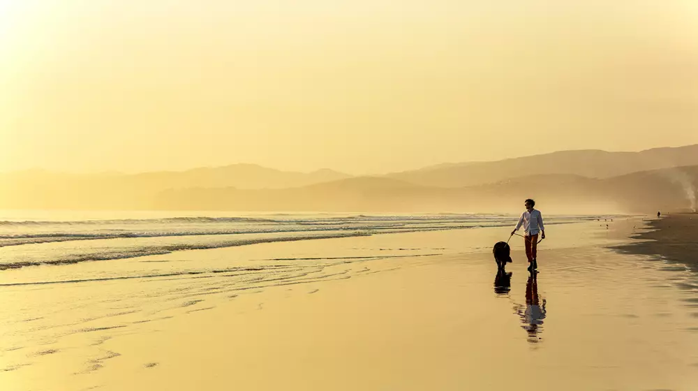 Hero Christchurch New Brighton Sunrise Walking