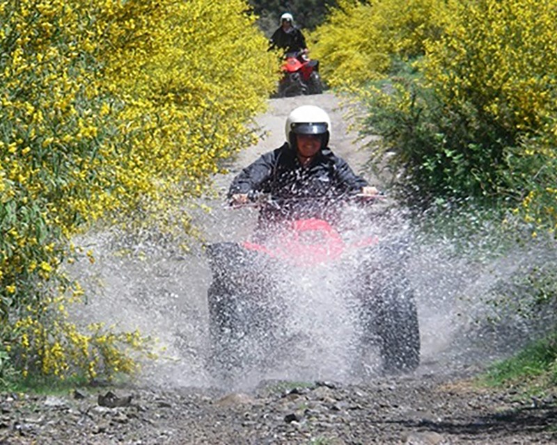 Riders take Hanmer Adventure Quad Bikes through puddles along a forest track