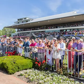 Riccarton Park Cup Week 2019 Guineas Day Crowd Watching Track