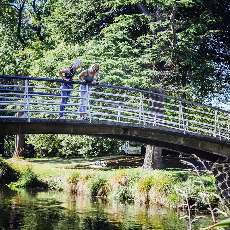 Christchurch Botanic Garden Footbridge