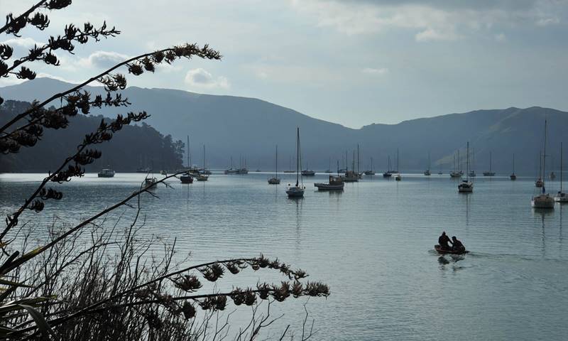 Akaroa Harbour with Boats