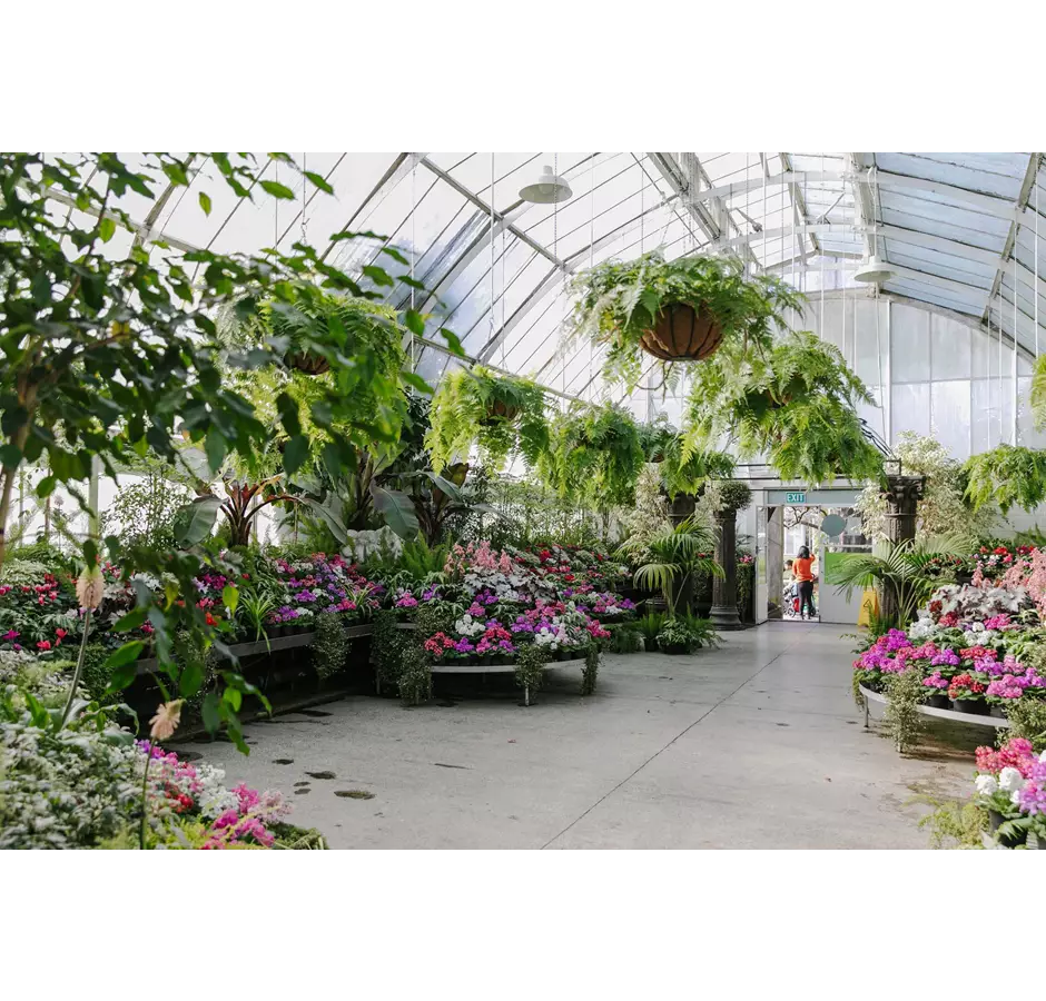Botanic Gardens Greenhouse
