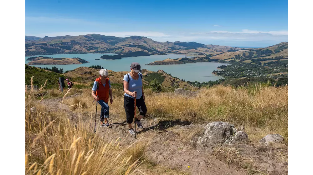 Mitchells Track Port Hills Ladies Walking