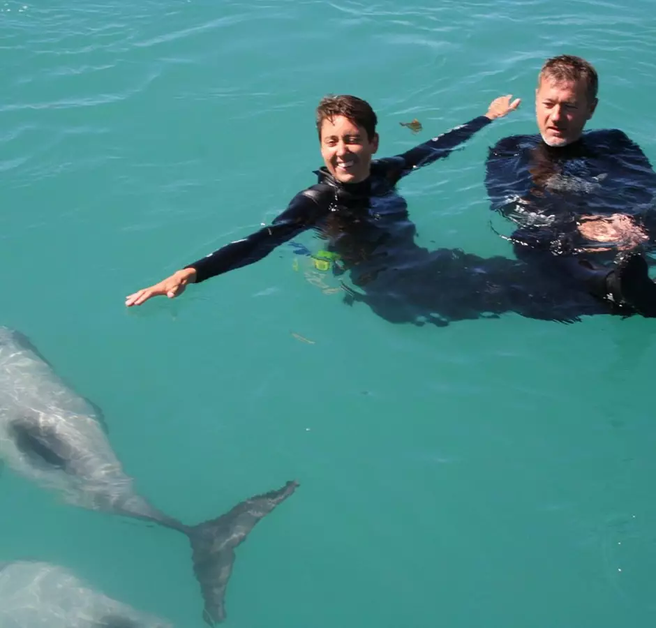 Swimming With Hector's Dolphin