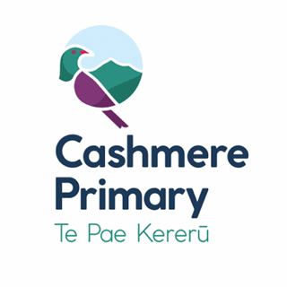 Study Cashmere Primary Logo