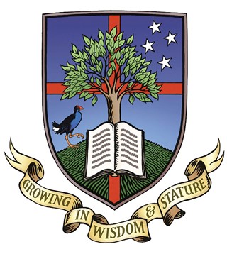 Study Aidanfield Logo