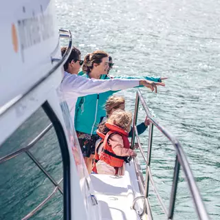 Akaroa Dolphin Customers On A Cruise