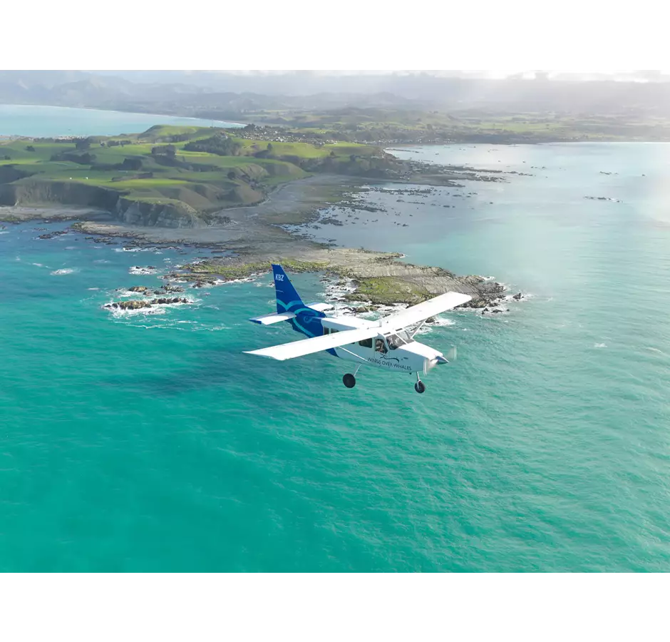 Kaikoura Wings Over Whales Peninsula