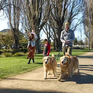 Family Walking Dogs