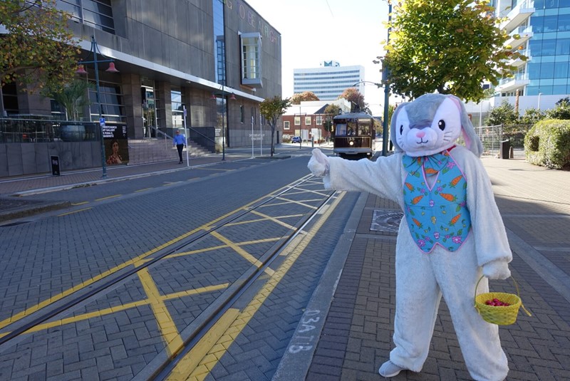 Easter Bunny Catching Tram